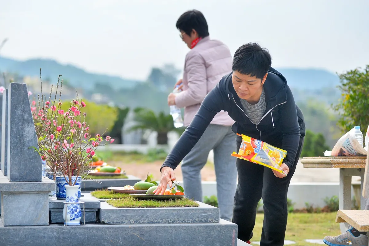 Tảo mộ là gì?