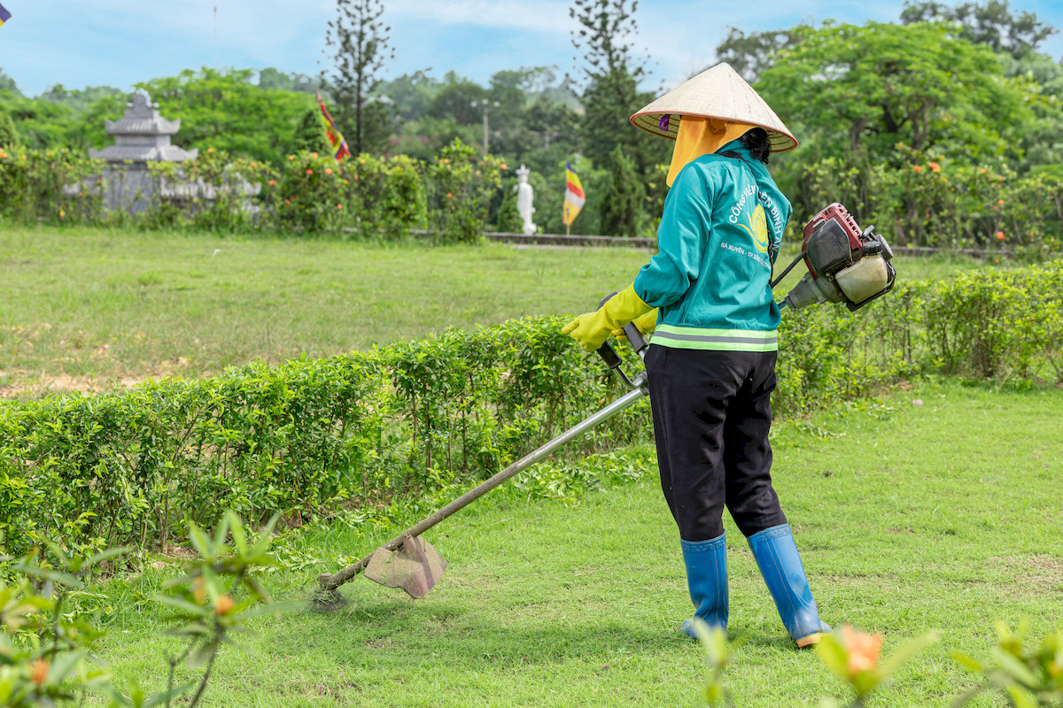 dich-vu-trong-va-cham-soc-cay-xanh-tai-thien-binh-an-dam-bao-cho-phong-thuy-truong-ton
